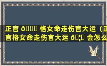 正官 🐕 格女命走伤官大运（正官格女命走伤官大运 🦄 会怎么样）